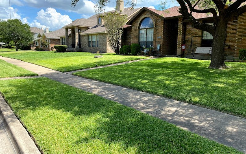 Beyond Lawn Care & Landscaping LLC