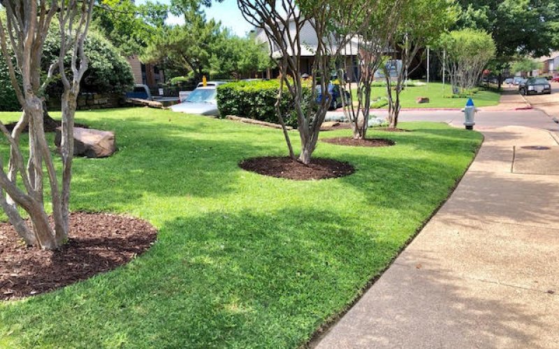 Black Diamond Landscaping