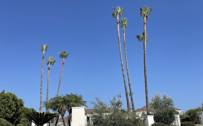 Land Disview