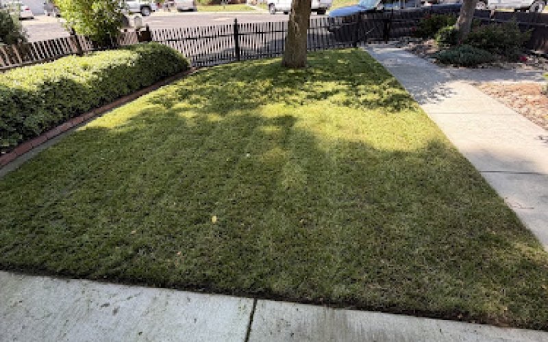 Presidential Lawn Services