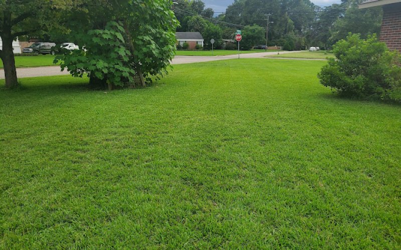 New Leaf Lawn Care & Landscaping