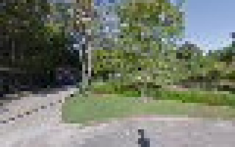 Pate Landscape Co. Inc