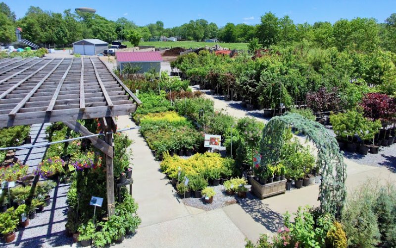 Martin's Home & Garden