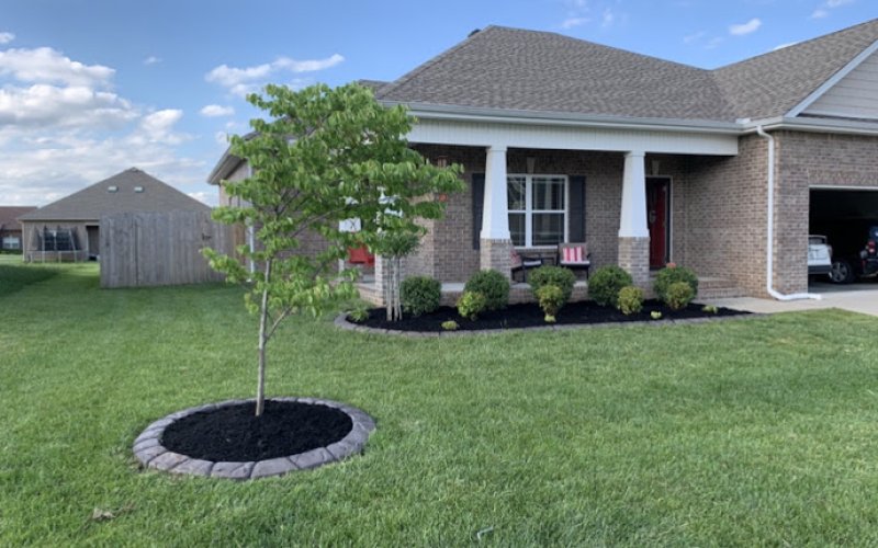 Southern Dream landscaping