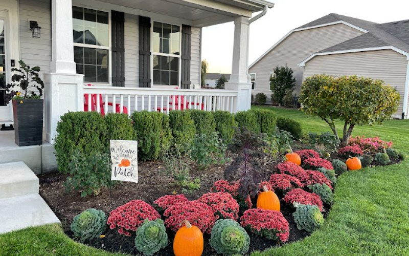 Elite Landscape Group
