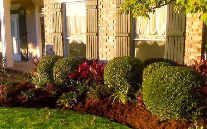 Absolute Landscaping