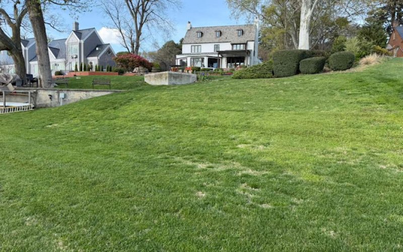 Chellis Landscaping