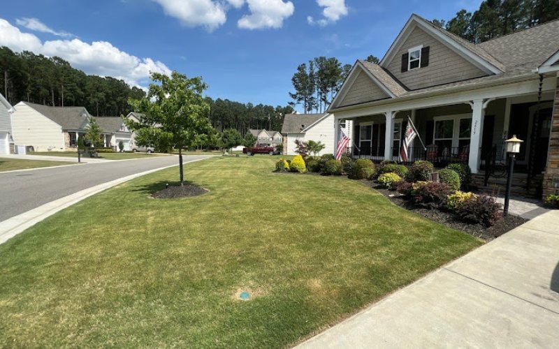 The Vine Landscaping