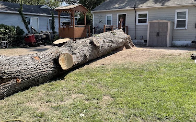 Vazquez Landscaping