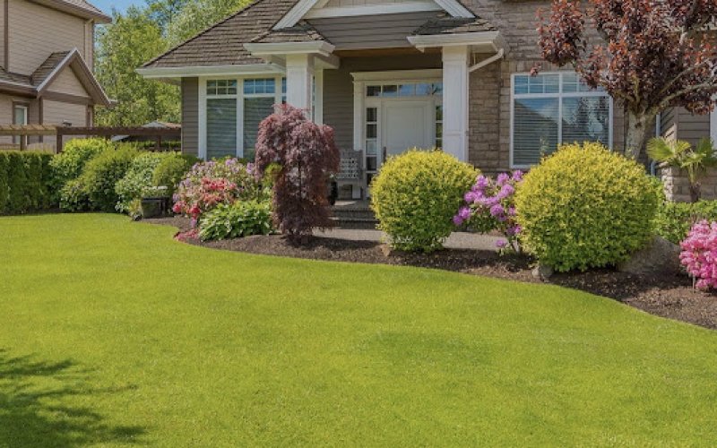 E M Landscaping & yard care