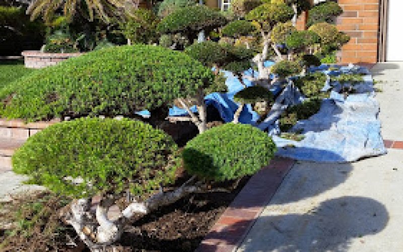 SuperiorStone Paving & Landscaping