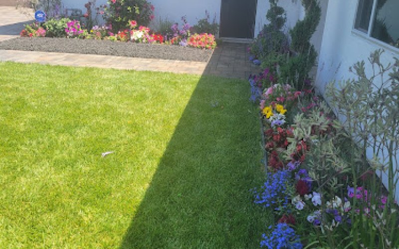 Zorro Landscaping Inc.