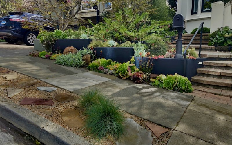 1BAY Landscape Art & Design