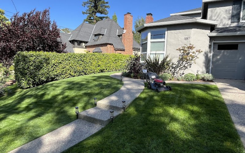 William Landscaper Garden Services