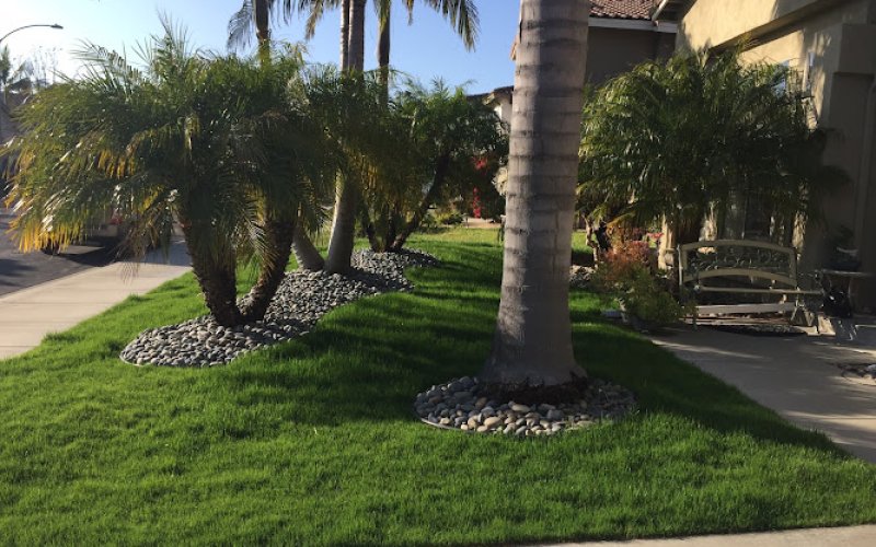 Lawn Doctor of North County Coastal