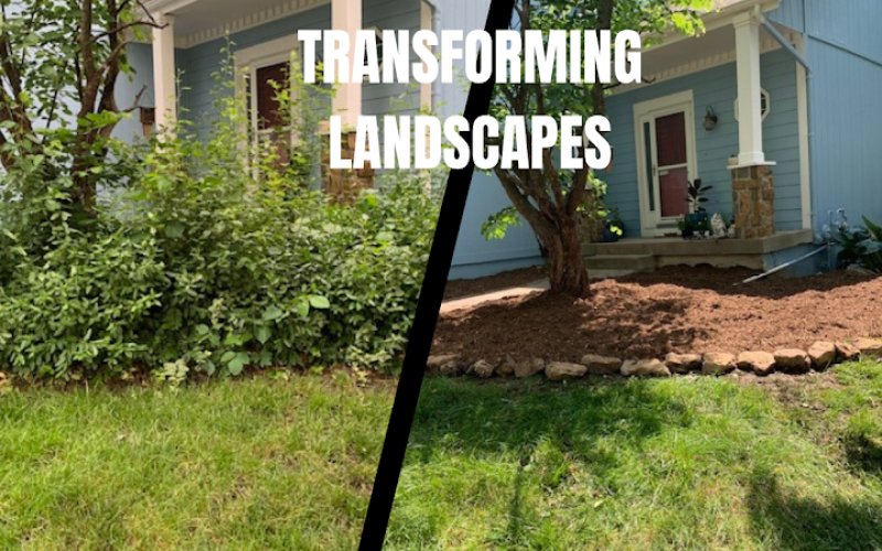 Cutting Edge Landscape