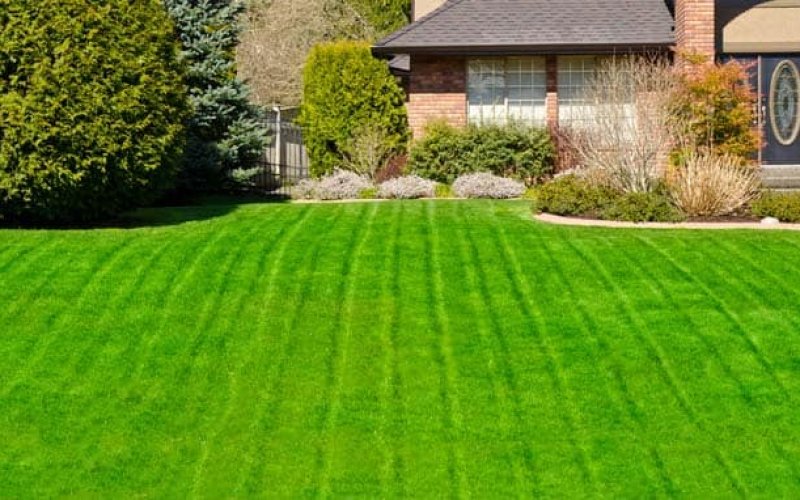 Premium Landscape Solutions