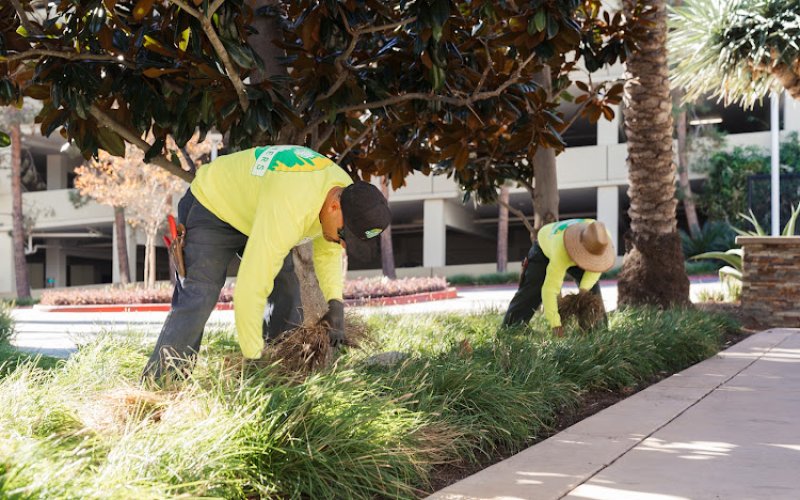 W BROTHERS LANDSCAPE, Inc.