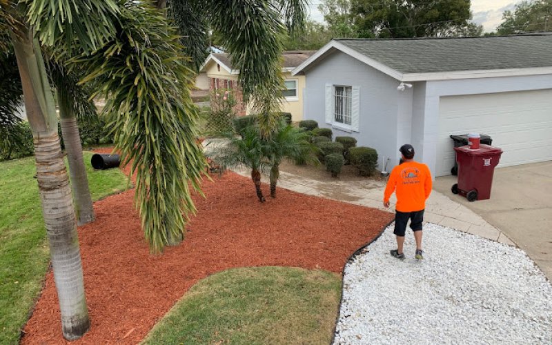 A Cut Above the Rest