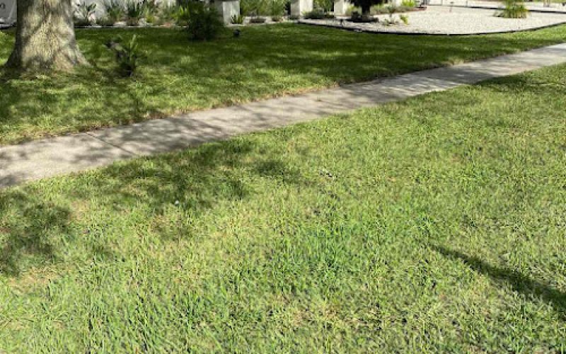 LawnStarter - Palm Bay