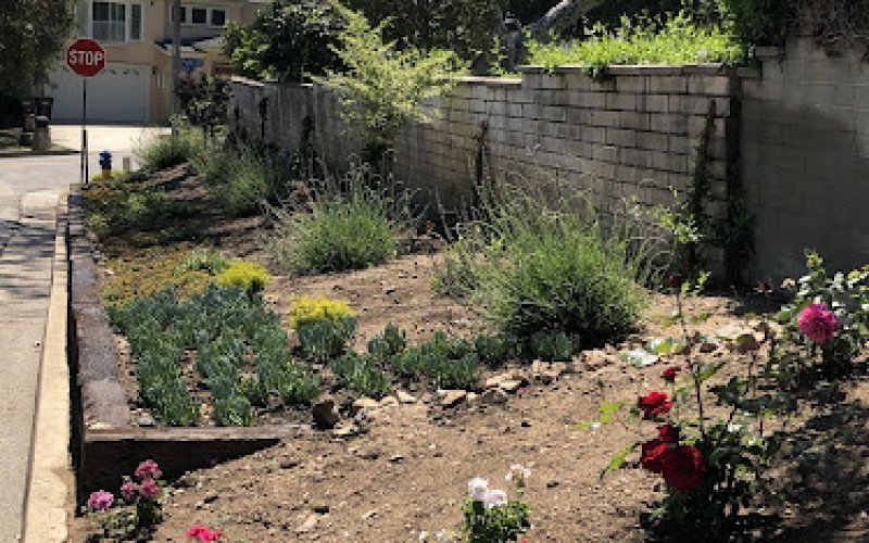 Santiago's Landscape & Tree Services