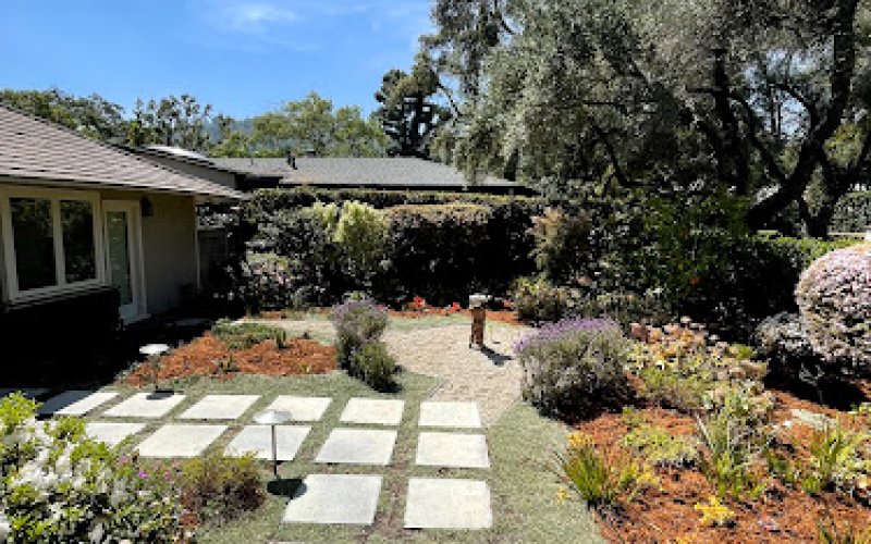 SoCal Landscape and Trees