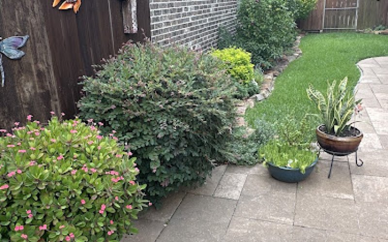 Paradise Gardens and Landscapes