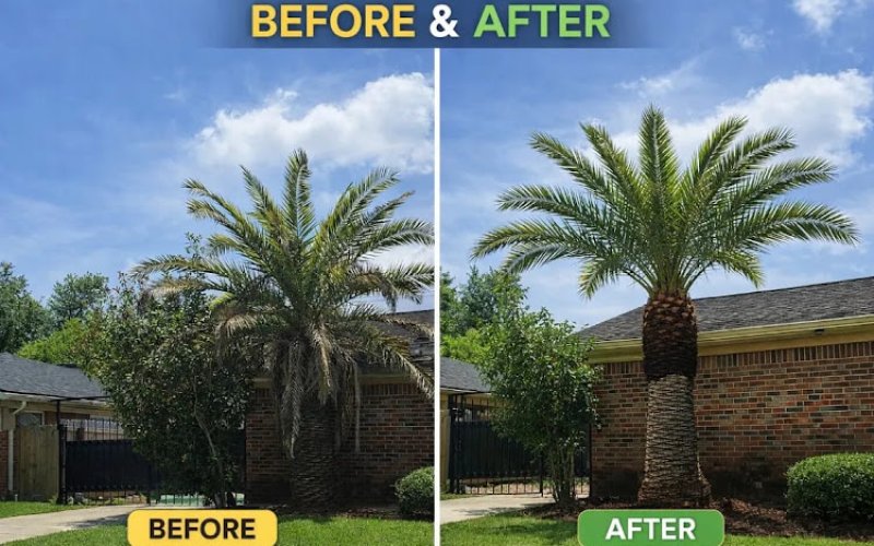 RODRIGUEZ C. LANDSCAPE SERVICES LLC