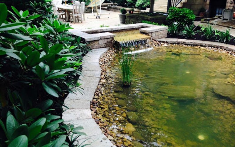 Kimicata Brothers Inc.