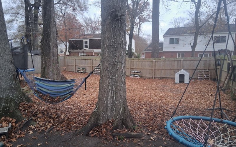 Green Cut Lawn Care & Services
