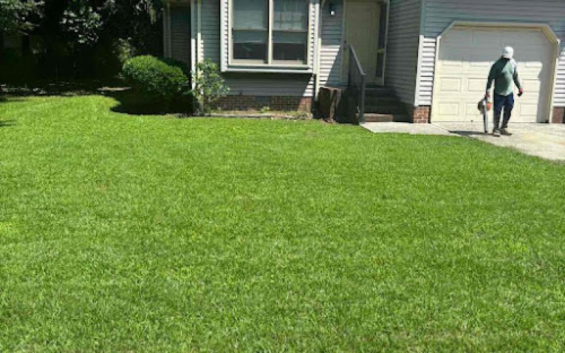 LawnStarter - Hampton