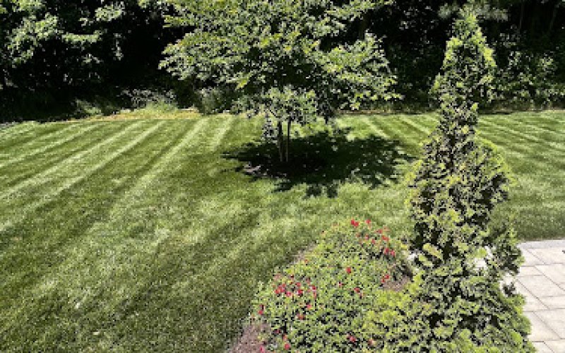 VirginiaGreen
