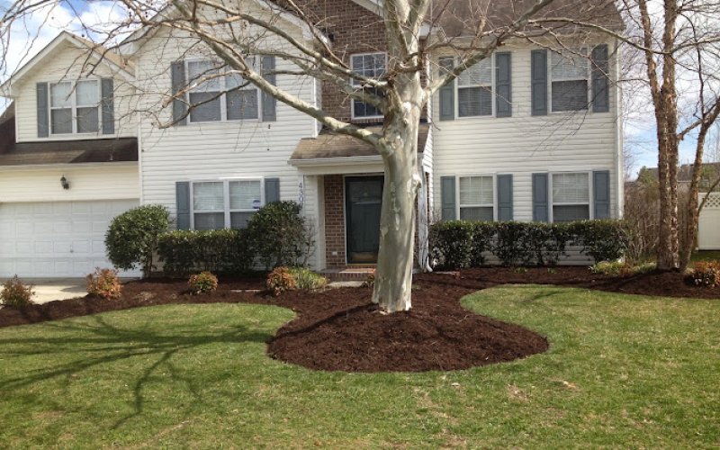 Davids Lawn Care LLC