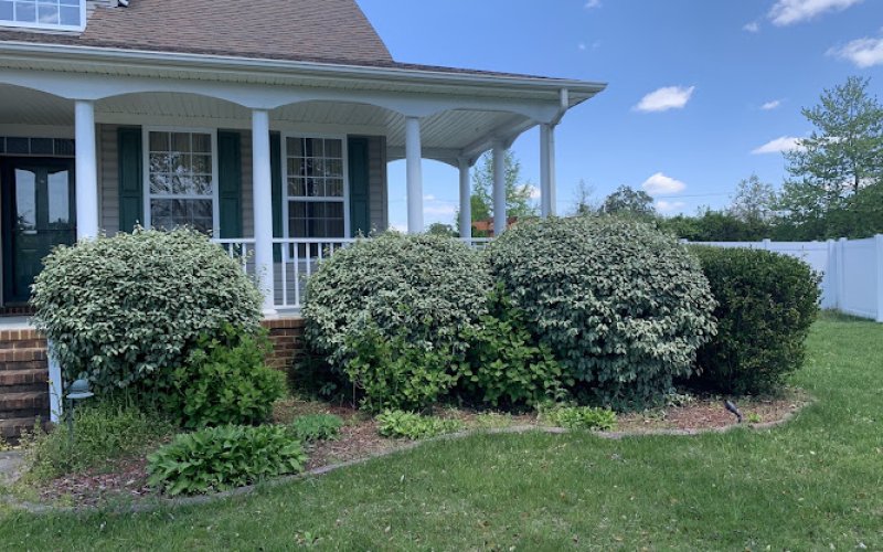 J&J's Tree and Lawn LLC