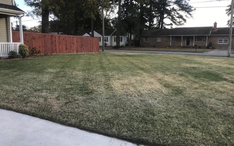 Just-in time landscaping