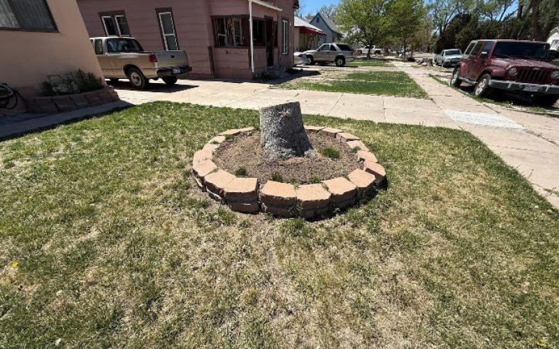 Sandoval Tree Service