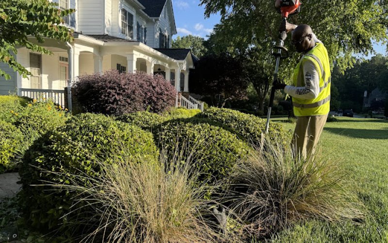 Nature First Landscaping