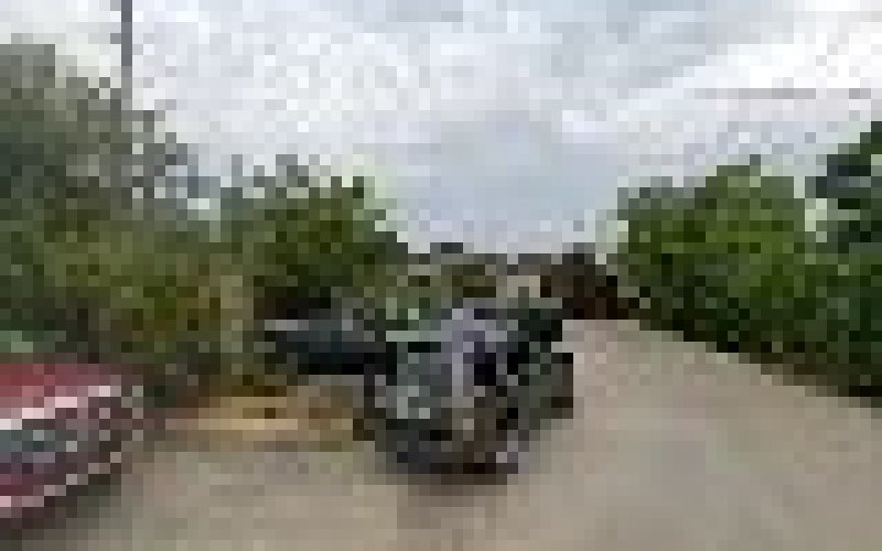 Richardson Landscape Inc
