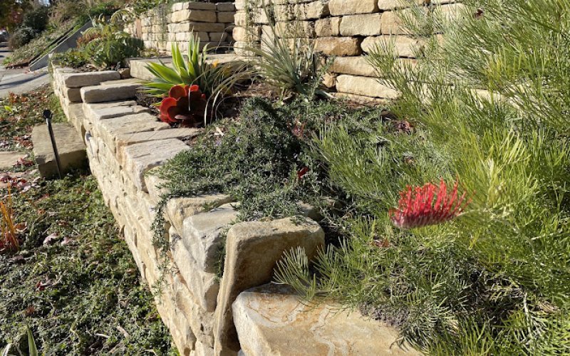 BWD Gardens Inc.