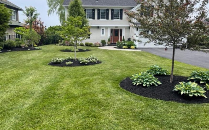 Level Tam Landscaping, LLC