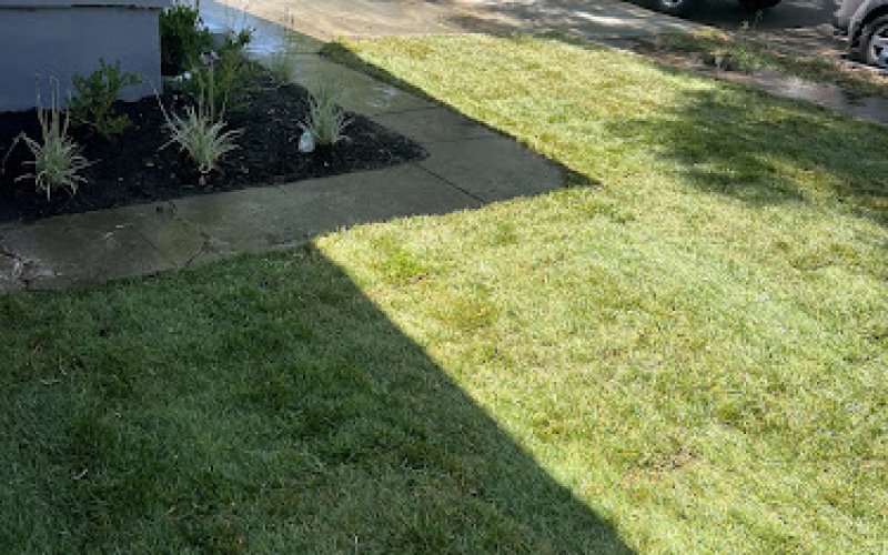 Greenhouse Landscaping & Maintenance Inc.