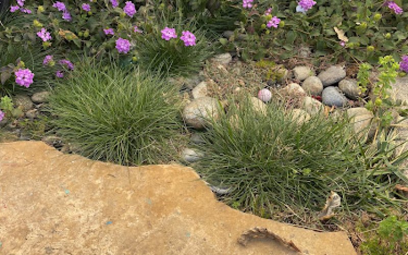 MDL landscapes