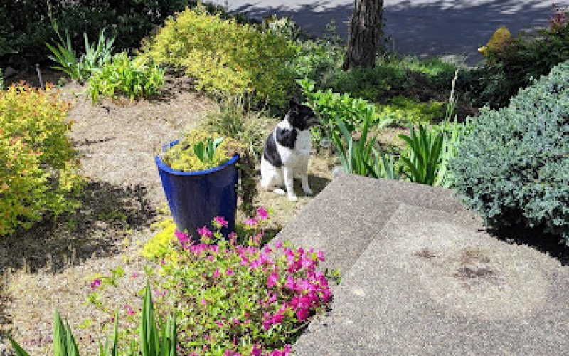 Le Landscapes & Yardwork