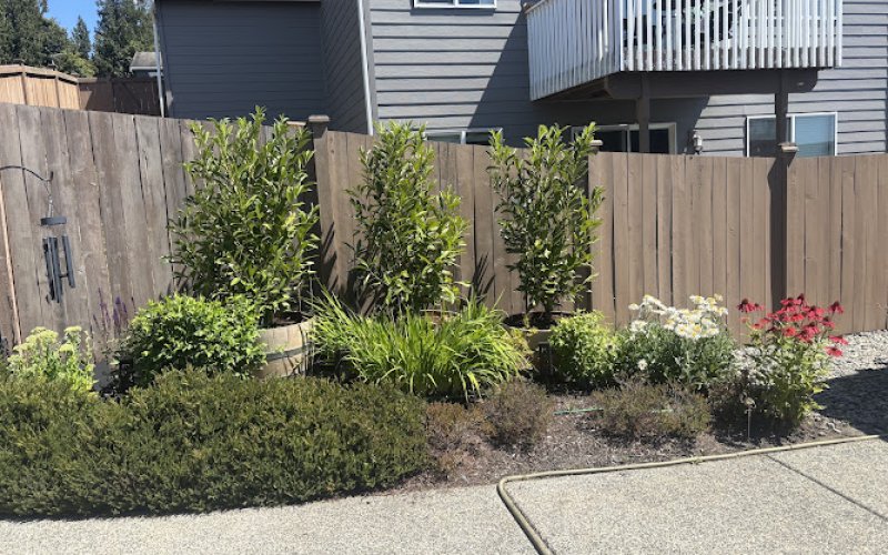 North East Landscaping & Design