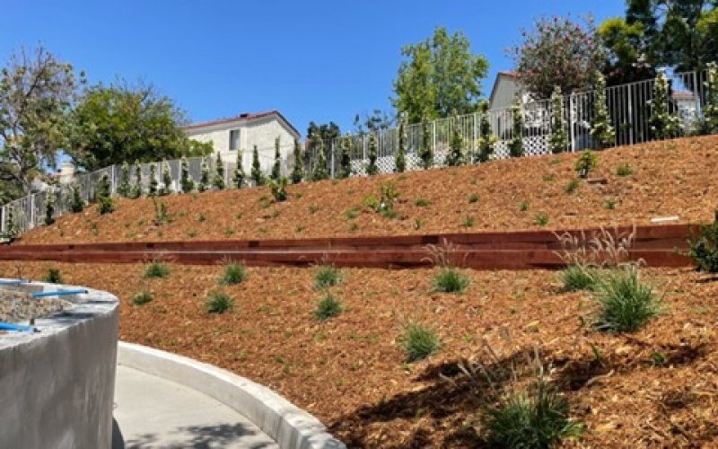 Vision Landscaping