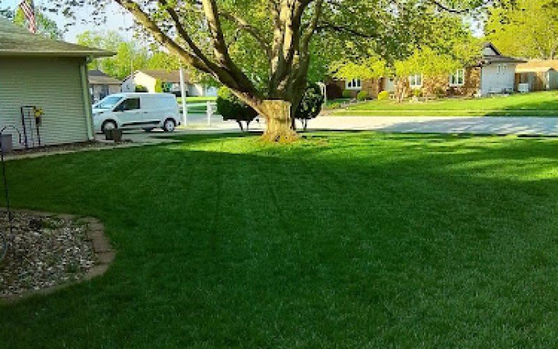 Jack Robertson Lawn Care