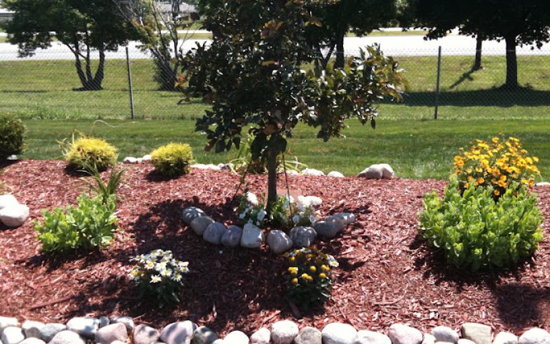 Springfield Lawn and Landscape