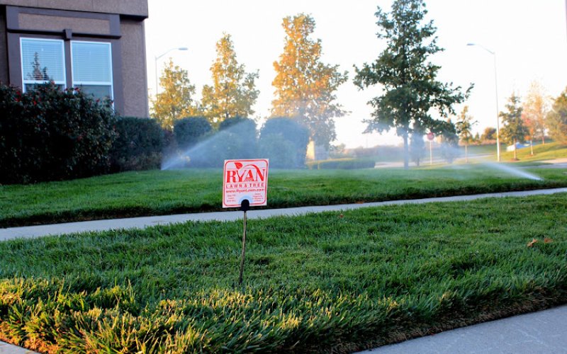 Ryan Lawn & Tree