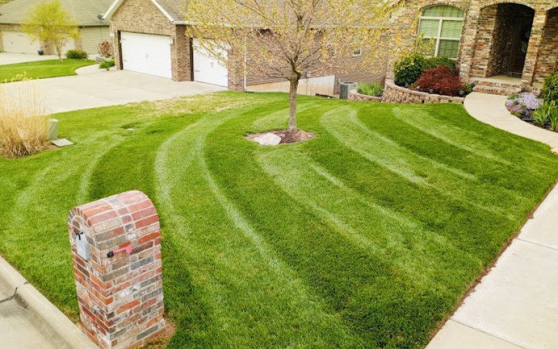 Springfield Gardens Lawn & Landscape, LLC