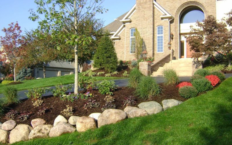 Timberline Landscapes